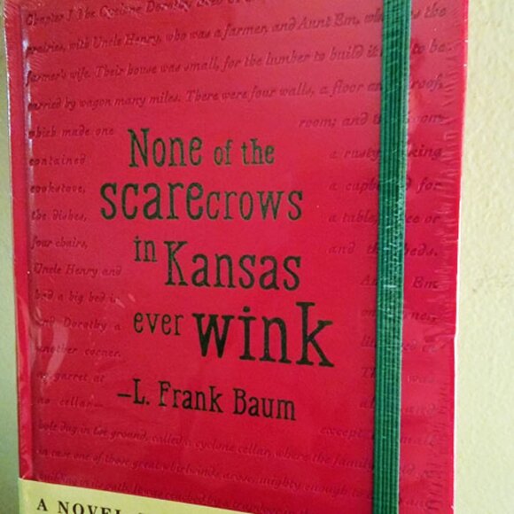 Wizard of Oz Novel Journal Tiny Text forms ruler lines Dorothy Wicked Witch NEW - Picture 9 of 11
